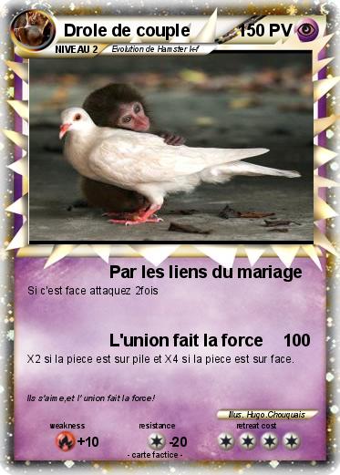 Pokemon Drole de couple