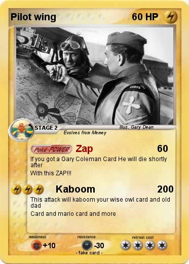 Pokemon Pilot wing