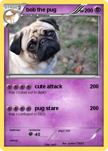 Pokemon bob the pug