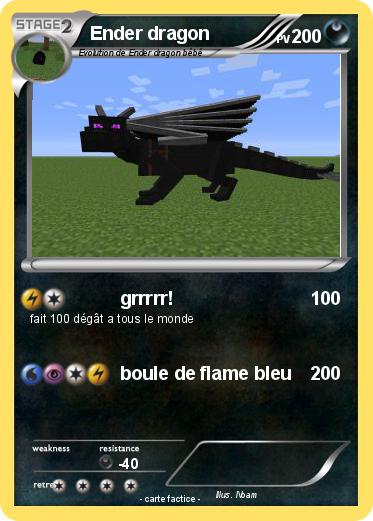 Pokemon Ender dragon
