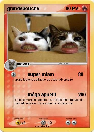 Pokemon grandebouche
