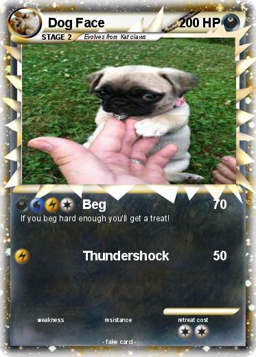 Pokemon Dog Face