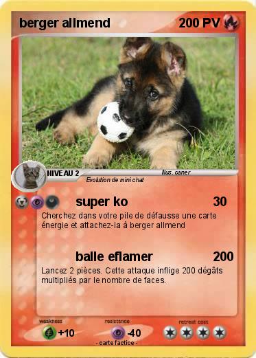 Pokemon berger allmend