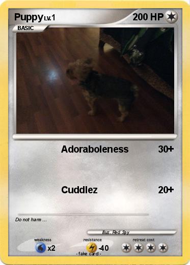 Pokemon Puppy