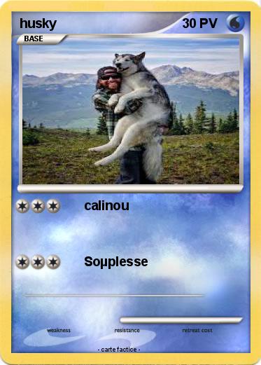 Pokemon husky