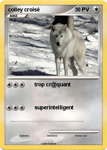 Pokemon colley croisé