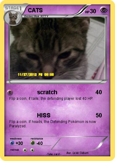 Pokemon CATS
