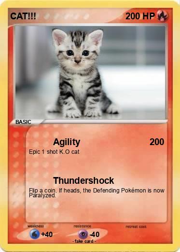 Pokemon CAT!!!