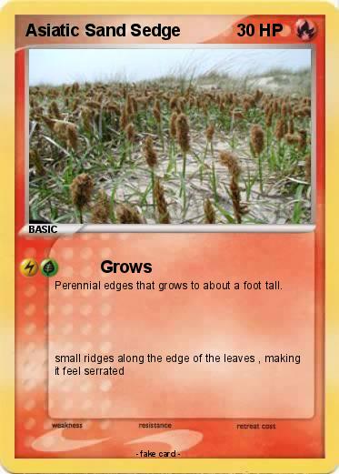 Pokemon Asiatic Sand Sedge