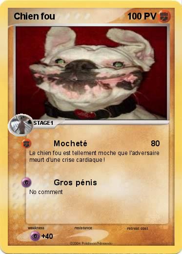 Pokemon Chien fou