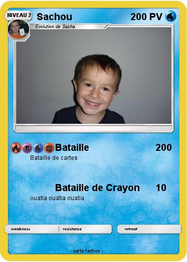 Pokemon Sachou