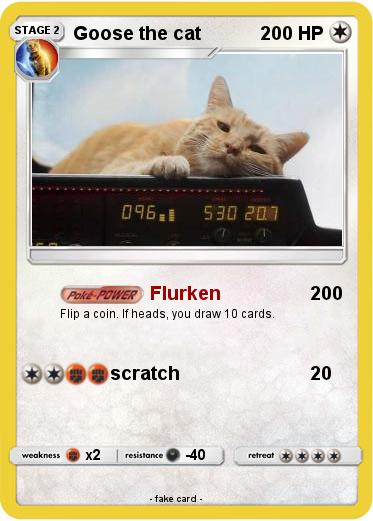 Pokemon Goose the cat