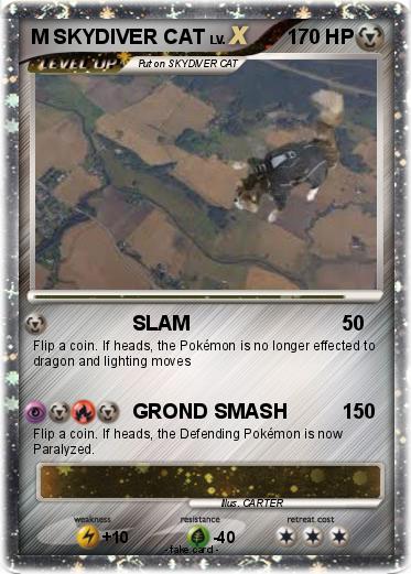 Pokemon M SKYDIVER CAT