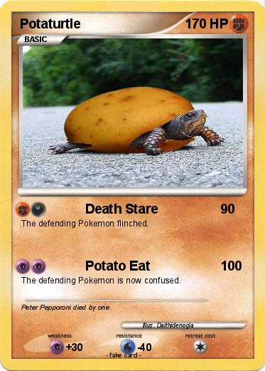 Pokemon Potaturtle