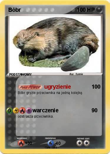 Pokemon Bóbr