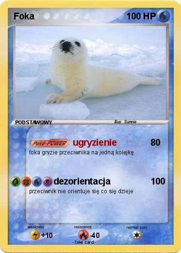 Pokemon Foka