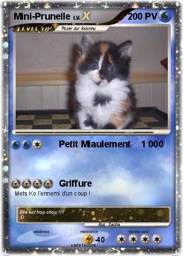 Pokemon Mini-Prunelle