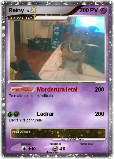 Pokemon Reiny