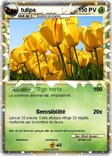 Pokemon tulipa