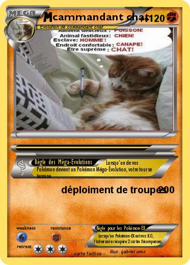 Pokemon cammandant chat