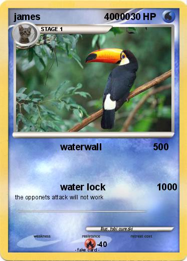 Pokemon james                         40000