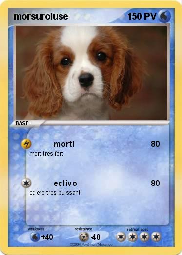 Pokemon morsuroluse