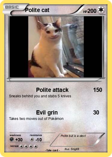 Pokemon Polite cat