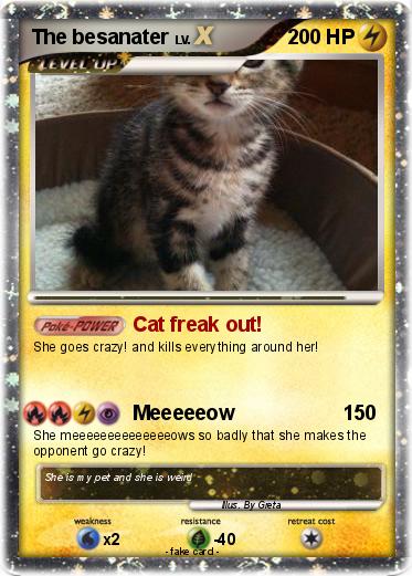 Pokemon The besanater