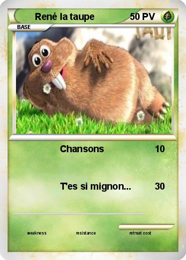 Pokemon René la taupe