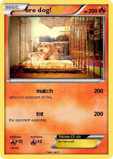 Pokemon fire dog!