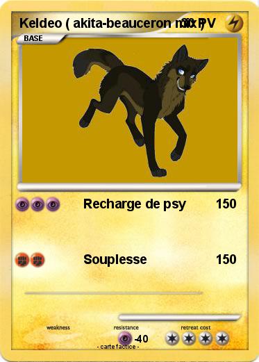 Pokemon Keldeo ( akita-beauceron mix )