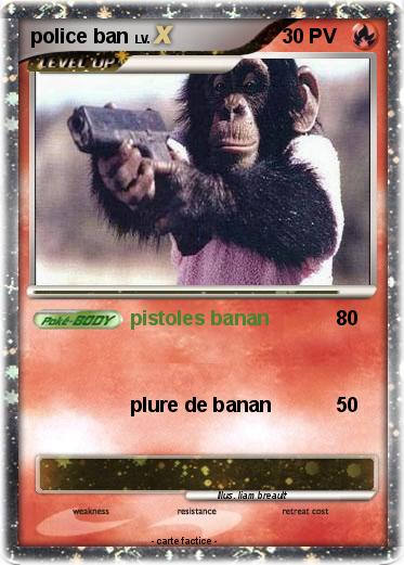 Pokemon police ban