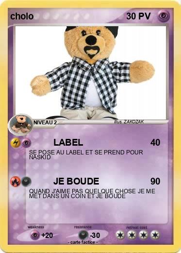 Pokemon cholo