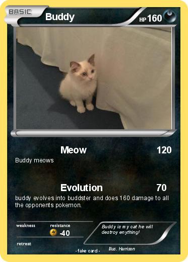 Pokemon Buddy