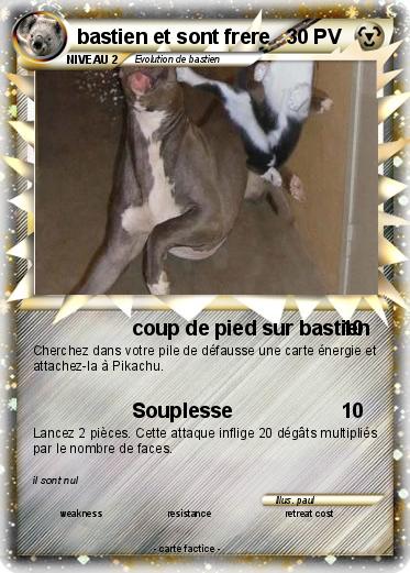 Pokemon bastien et sont frere