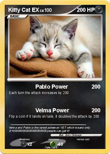 Pokemon Kitty Cat EX