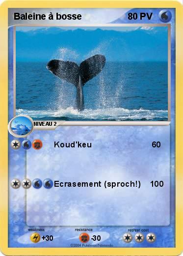 Pokemon Baleine à bosse