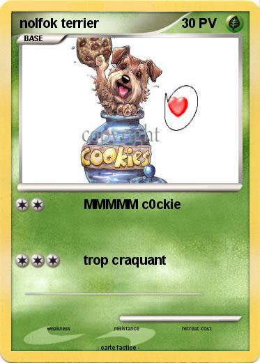 Pokemon nolfok terrier