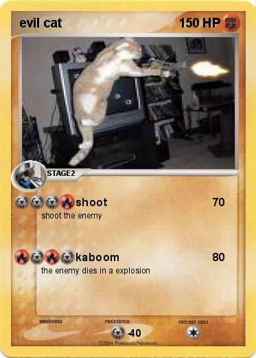 Pokemon evil cat