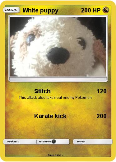 Pokemon White puppy