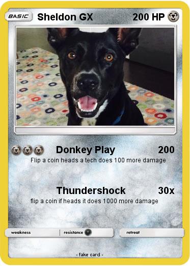 Pokemon Sheldon GX