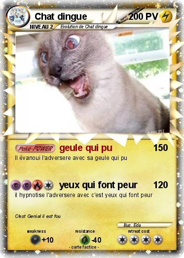 Pokemon Chat dingue