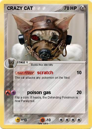 Pokemon CRAZY CAT