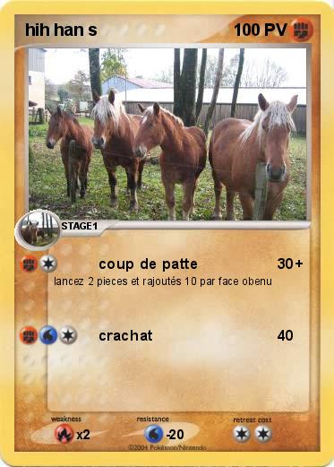 Pokemon hih han s