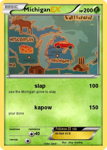 Pokemon Michigan