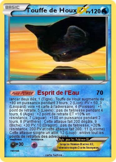 Pokemon Touffe de Houx