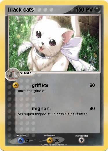 Pokemon black cats