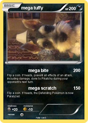 Pokemon mega tuffy