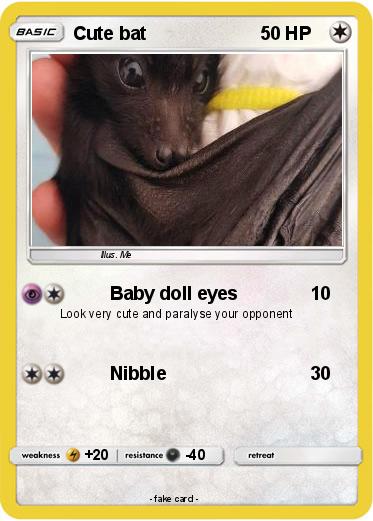 Pokemon Cute bat