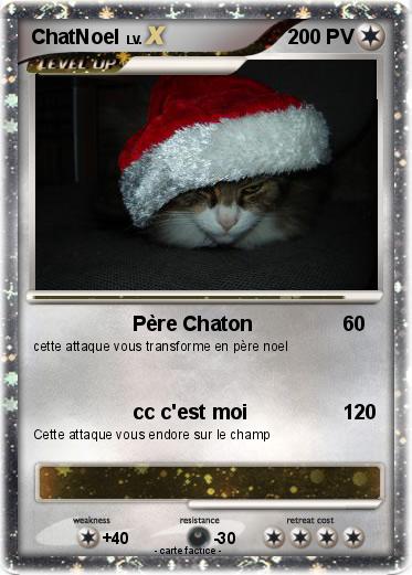 Pokemon ChatNoel